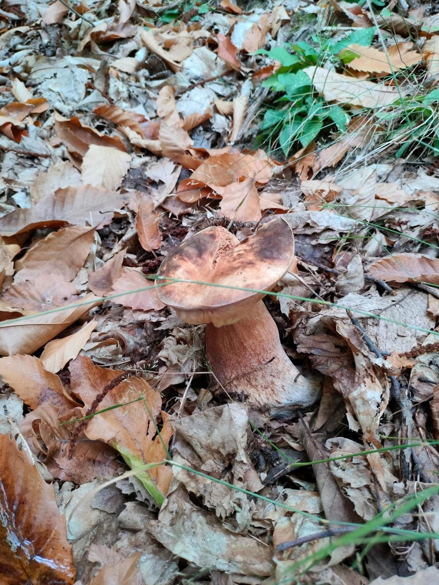 Jolie Petite Maison Chez Barbara Garbagna Kültér fotó