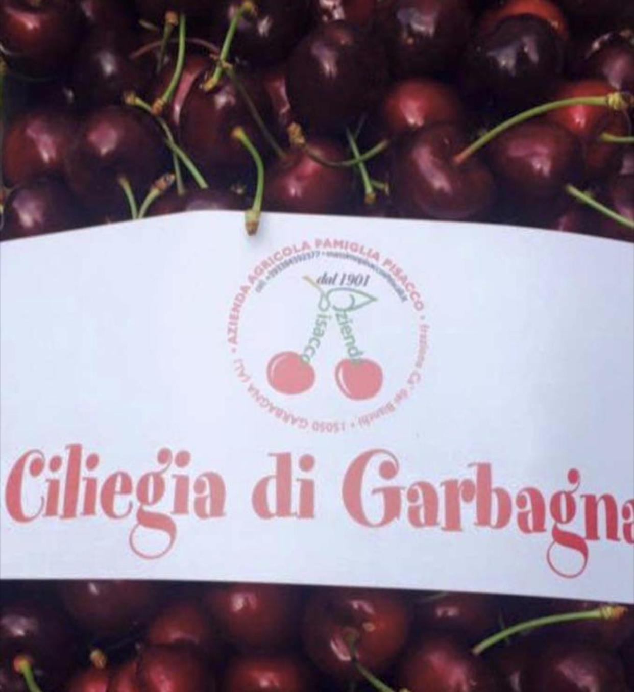 Jolie Petite Maison Chez Barbara Garbagna Kültér fotó